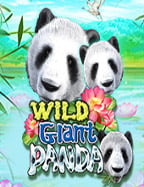 เว็บ คา สิ โน ฝาก ถอน ออ โต้ทาง เข้ารา ม่า888 ทดลองเล่นเกมสล็อต